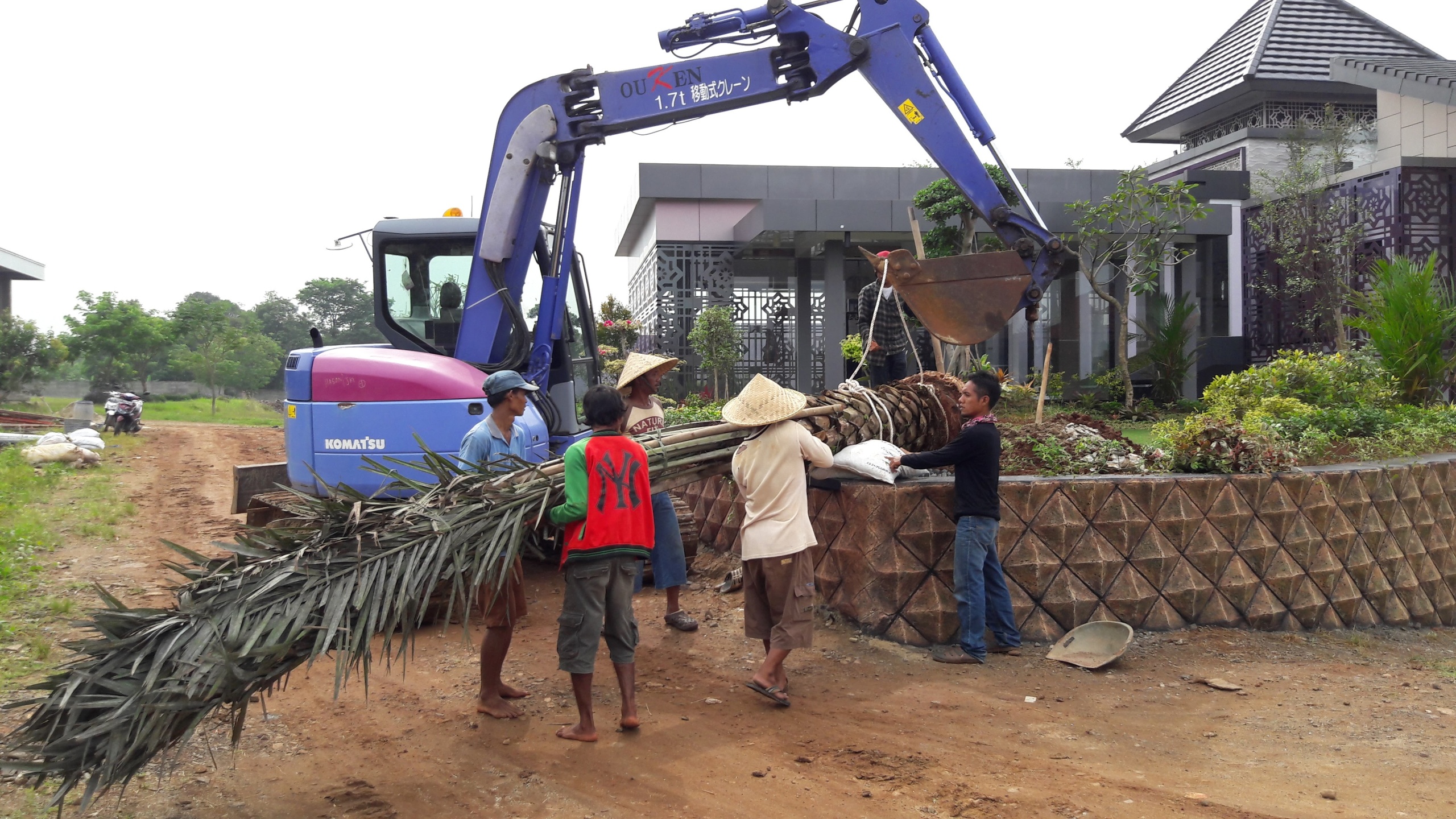 Jasa Perawatan dan Perbaikan Taman - Adam Sawangan