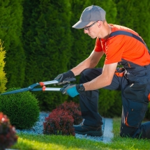Why It’s Important for You to Get Regular Plant and Garden Maintenance