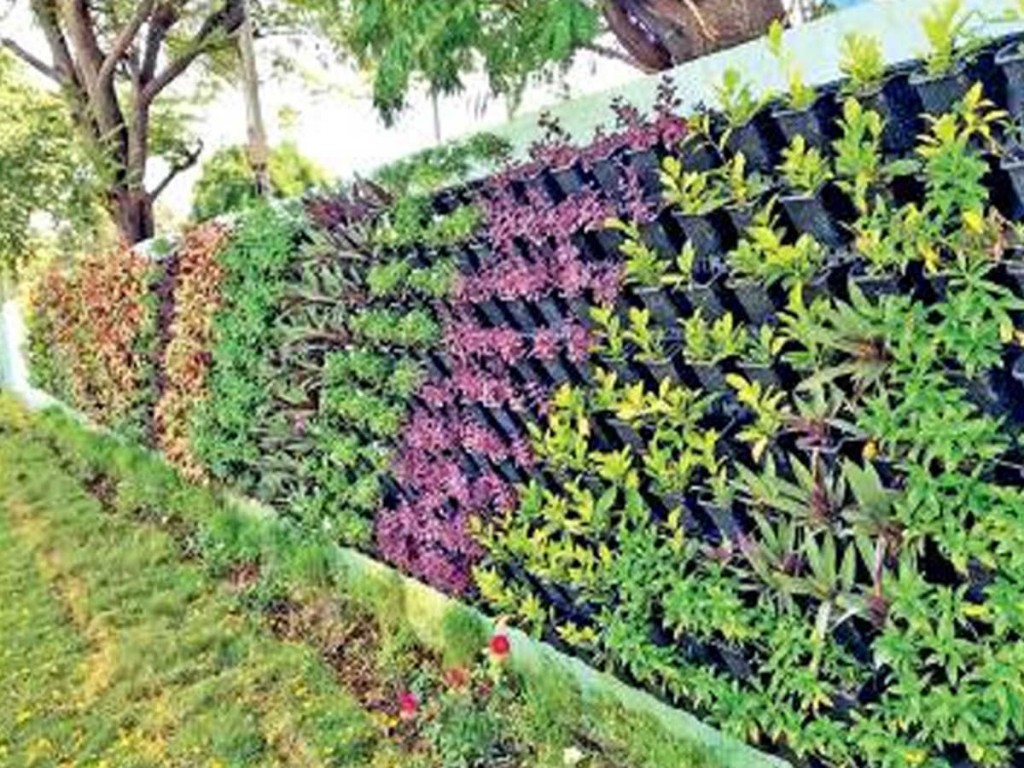 Jasa Buat Taman Vertical Garden